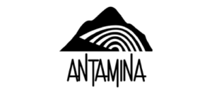 consultoría logística