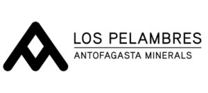 consultoría logística
