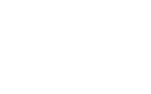 Servicio de Diseño y Optimización de Layout Logístico Cliente concha y toro